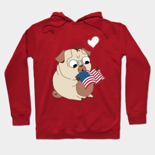 Love America Hoodie